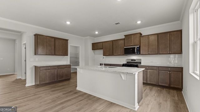 19 Cyrilla Walk, Dallas, GA 30132