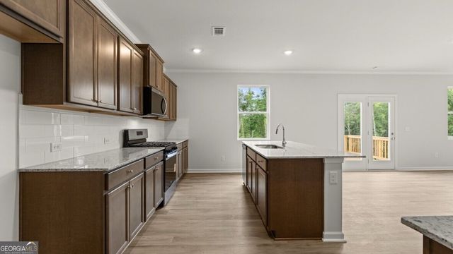 19 Cyrilla Walk, Dallas, GA 30132