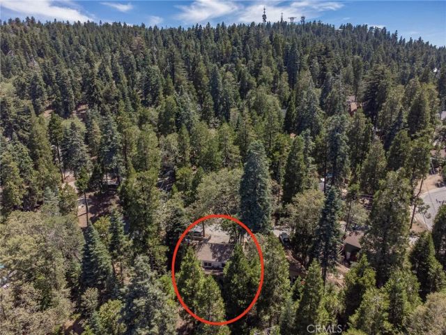 825 Lake View Lane, Twin Peaks, CA 92391