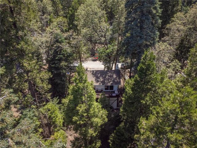 825 Lake View Lane, Twin Peaks, CA 92391