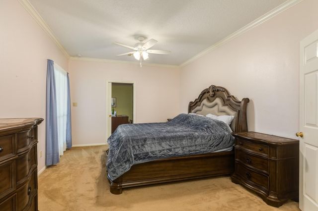 54 Peppermint Court, Lake Jackson, TX 77566