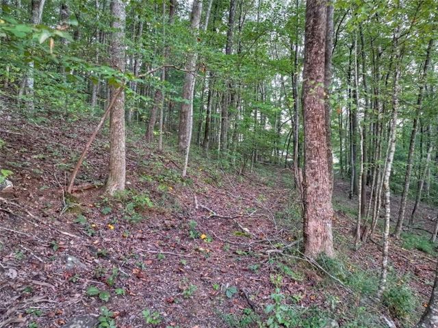 859 Hagin Circle, Ellijay, GA 30536