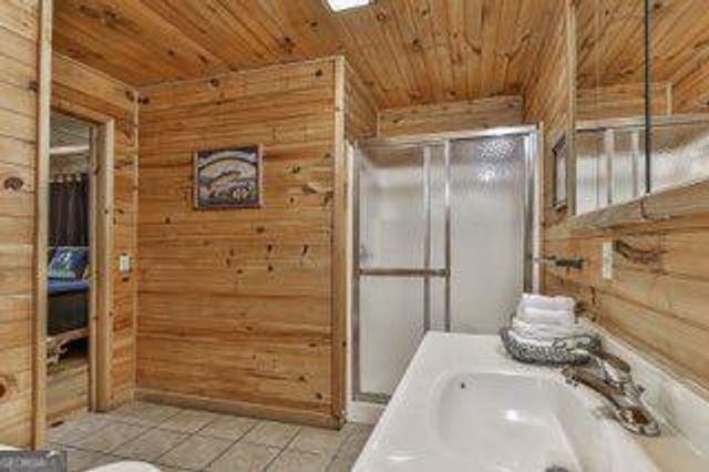 101 MOONSHINE MOUNTAIN, Mineral Bluff, GA 30559