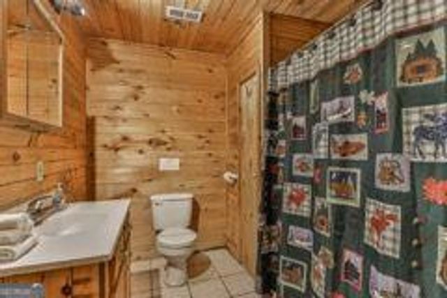 101 MOONSHINE MOUNTAIN, Mineral Bluff, GA 30559
