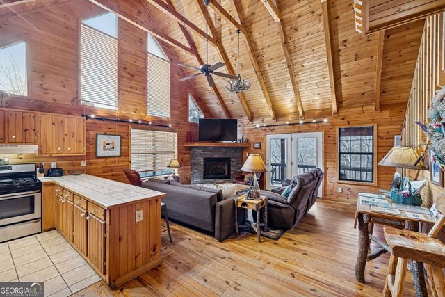 101 MOONSHINE MOUNTAIN, Mineral Bluff, GA 30559