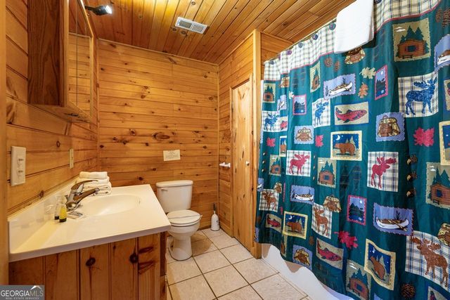 101 MOONSHINE MOUNTAIN, Mineral Bluff, GA 30559