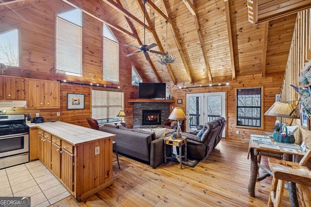 101 MOONSHINE MOUNTAIN, Mineral Bluff, GA 30559