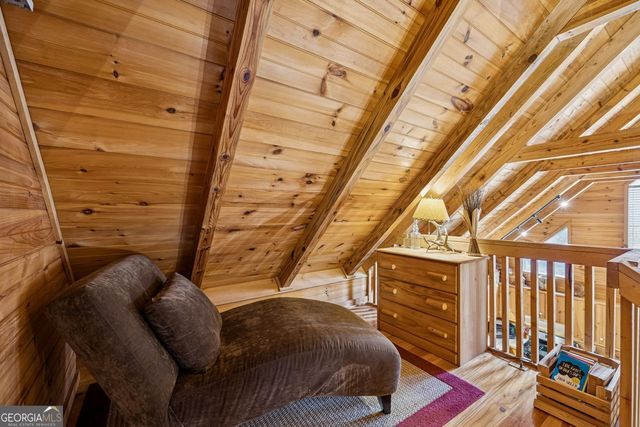 101 MOONSHINE MOUNTAIN, Mineral Bluff, GA 30559