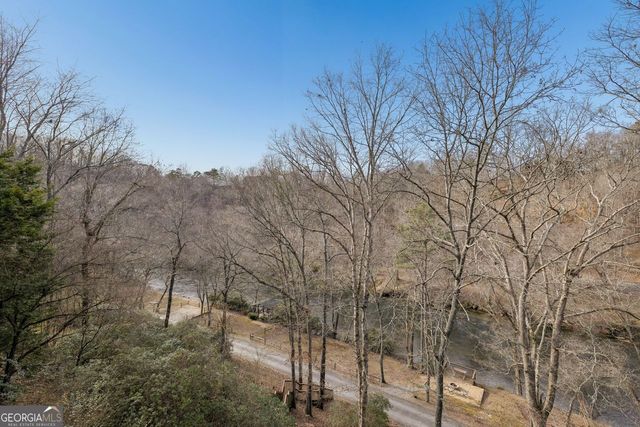101 MOONSHINE MOUNTAIN, Mineral Bluff, GA 30559