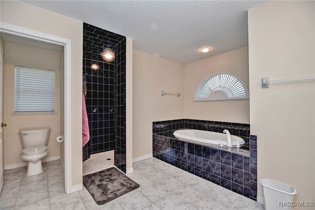 4373 N Saddletree Drive, Beverly Hills, FL 34465