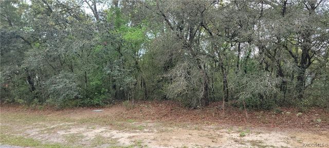 3028 W Randolph Lane, Citrus Springs, FL 34433
