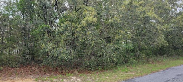 3028 W Randolph Lane, Citrus Springs, FL 34433