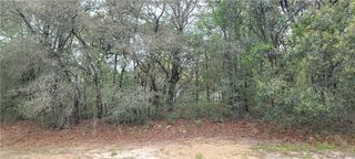 3028 W Randolph Lane, Citrus Springs, FL 34433