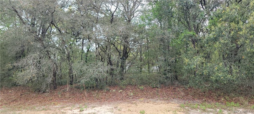 3028 W Randolph Lane, Citrus Springs, FL 34433