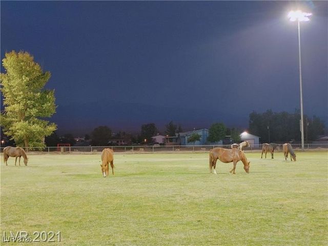 630 East Simkins Road, Pahrump, NV 89060