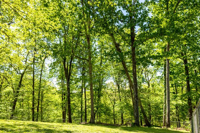 1822 Winding Way Dr, White House, TN 37188