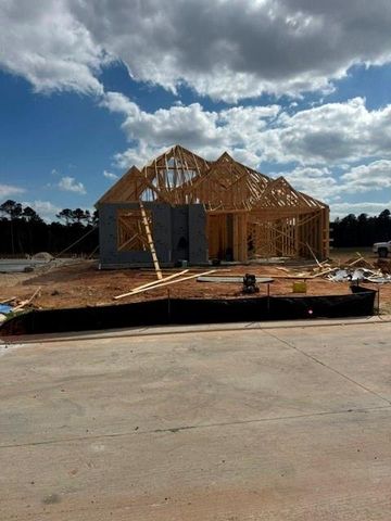 38515 Dancing Pair Way, Magnolia, TX 77354