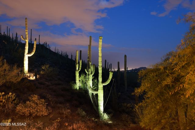 3700 N Avenida Dos Vistas, Tucson, AZ 85745