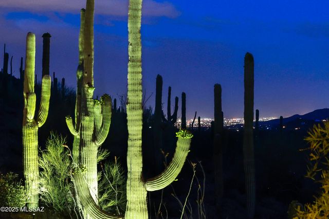 3700 N Avenida Dos Vistas, Tucson, AZ 85745