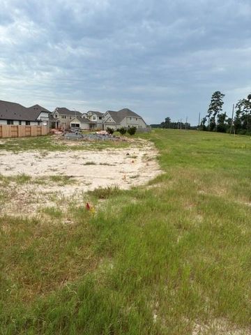32036 Retama Ranch Lane, Spring, TX 77386