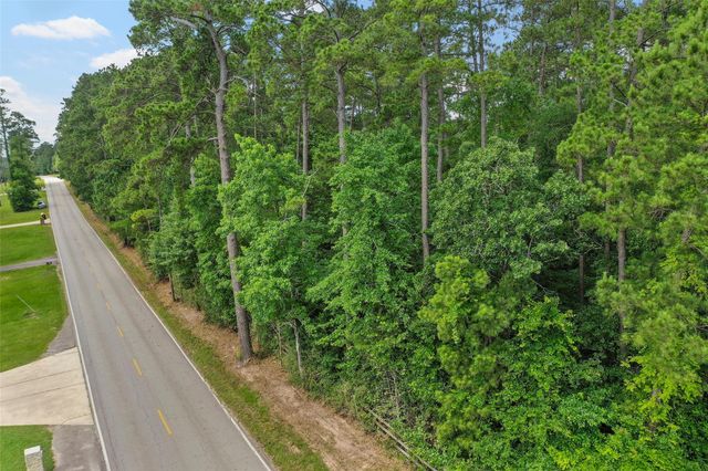 00 Honea Egypt Road, Montgomery, TX 77316