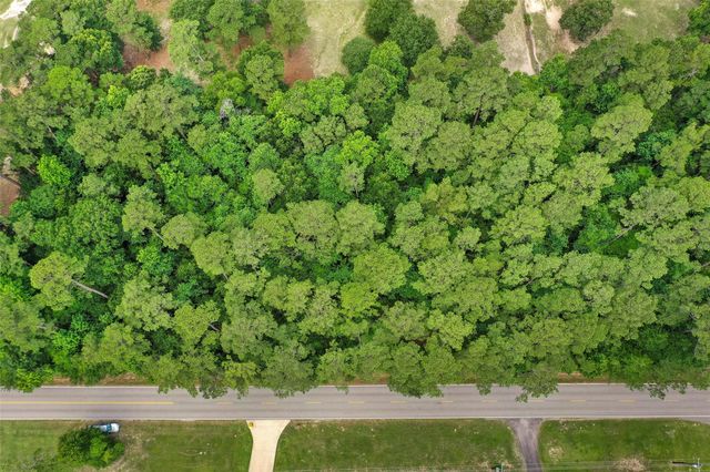 00 Honea Egypt Road, Montgomery, TX 77316