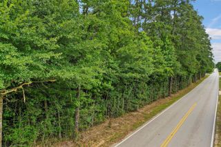 00 Honea Egypt Road, Montgomery, TX 77316