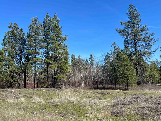 249015 W Kitt Rd, Reardan, WA 99029