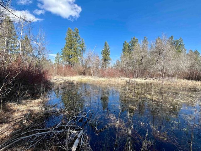 249015 W Kitt Rd, Reardan, WA 99029