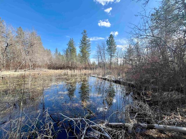 249015 W Kitt Rd, Reardan, WA 99029