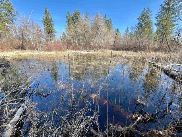 249015 W Kitt Rd, Reardan, WA 99029