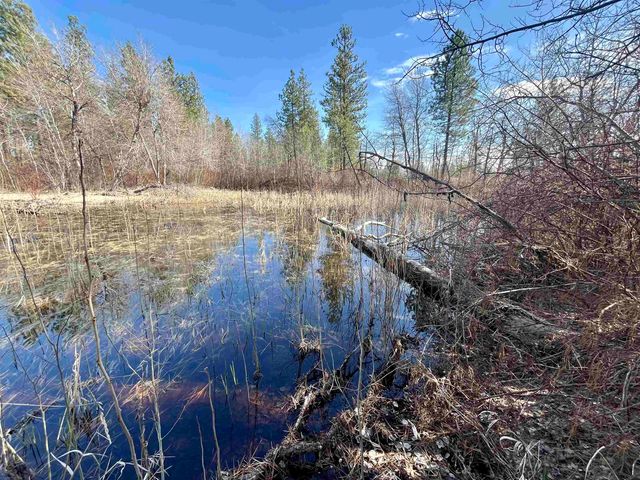 249015 W Kitt Rd, Reardan, WA 99029