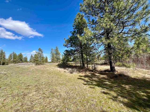 249015 W Kitt Rd, Reardan, WA 99029