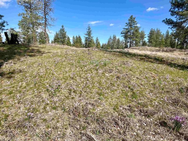 249015 W Kitt Rd, Reardan, WA 99029