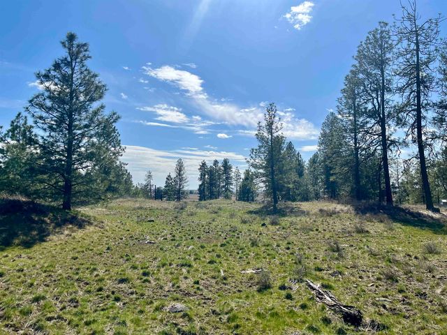 249015 W Kitt Rd, Reardan, WA 99029