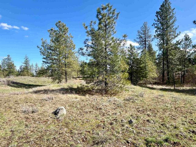 249015 W Kitt Rd, Reardan, WA 99029