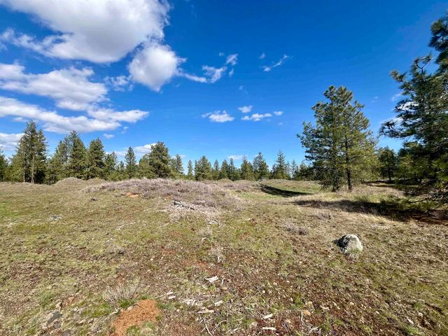 249015 W Kitt Rd, Reardan, WA 99029