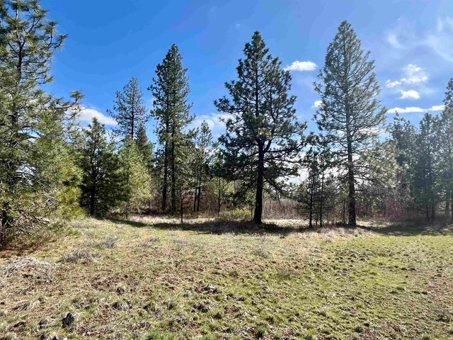 249015 W Kitt Rd, Reardan, WA 99029