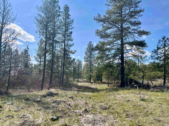 249015 W Kitt Rd, Reardan, WA 99029