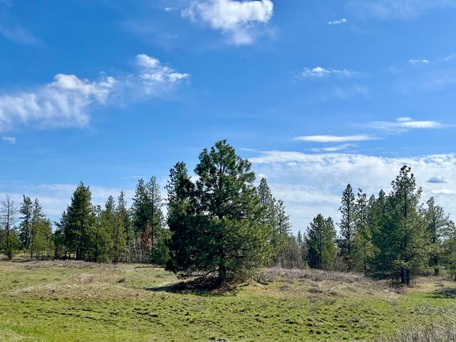 249015 W Kitt Rd, Reardan, WA 99029