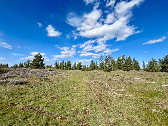 249015 W Kitt Rd, Reardan, WA 99029