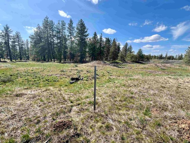 249015 W Kitt Rd, Reardan, WA 99029