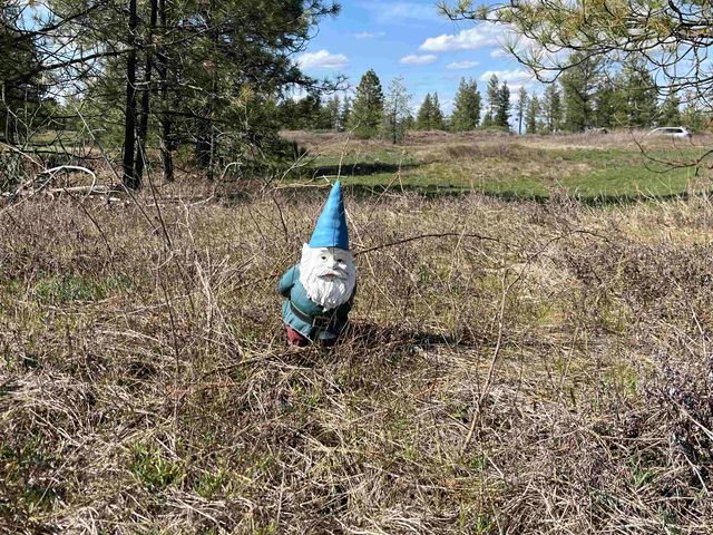 249015 W Kitt Rd, Reardan, WA 99029