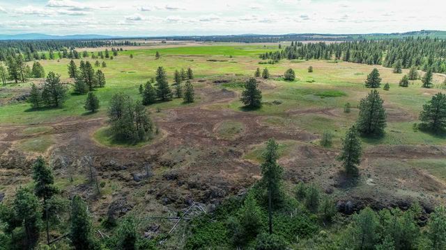 249015 W Kitt Rd, Reardan, WA 99029