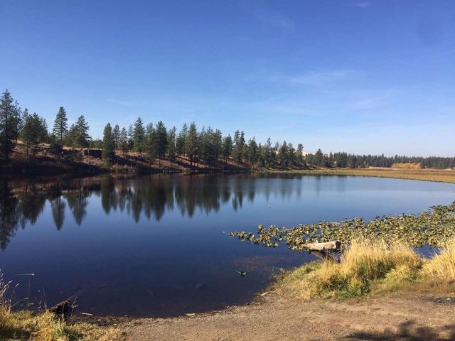 249015 W Kitt Rd, Reardan, WA 99029