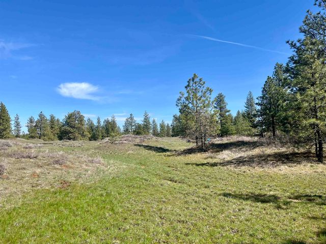 249015 W Kitt Rd, Reardan, WA 99029