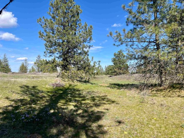 249015 W Kitt Rd, Reardan, WA 99029