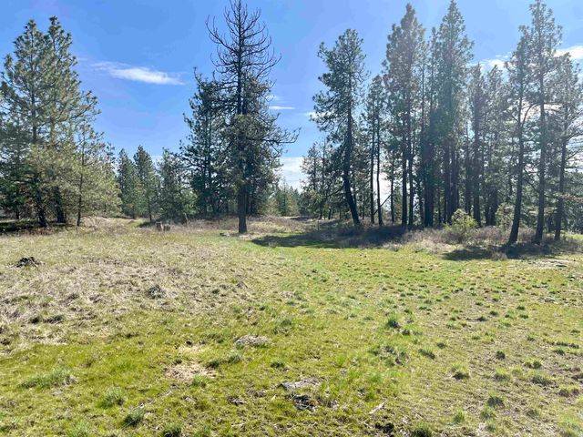 249015 W Kitt Rd, Reardan, WA 99029