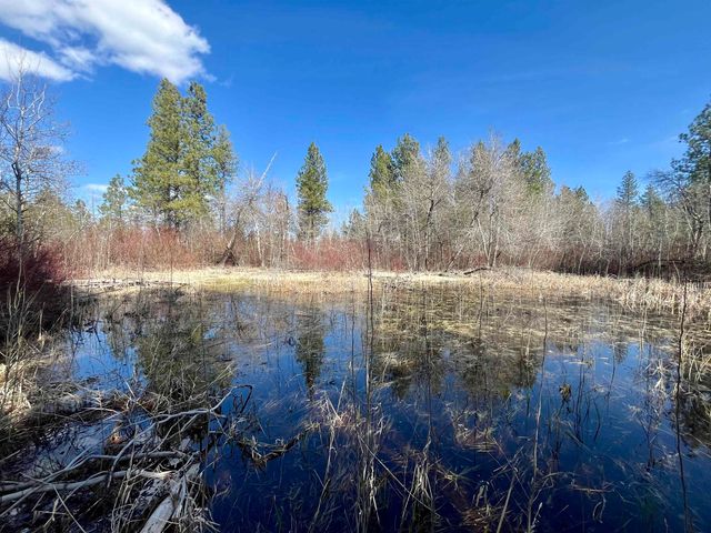 249015 W Kitt Rd, Reardan, WA 99029