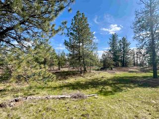 249015 W Kitt Rd, Reardan, WA 99029